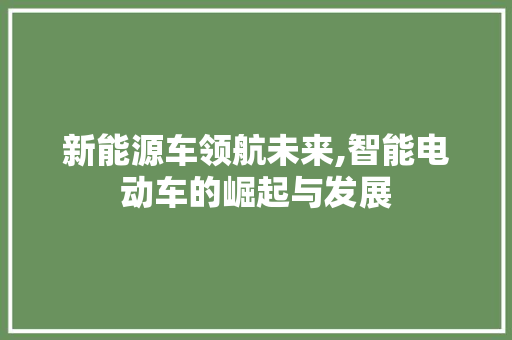 新能源车领航未来,智能电动车的崛起与发展