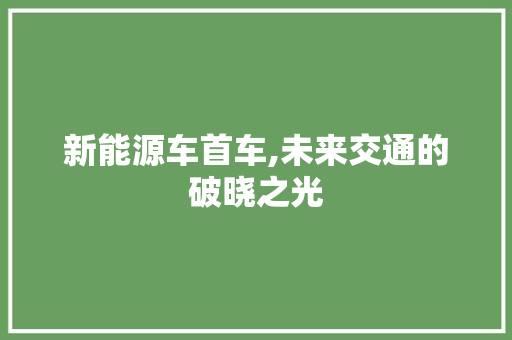 新能源车首车,未来交通的破晓之光