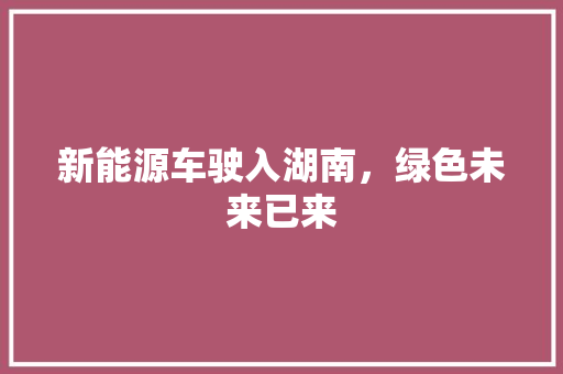 新能源车驶入湖南，绿色未来已来