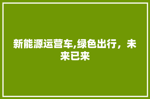 新能源运营车,绿色出行，未来已来