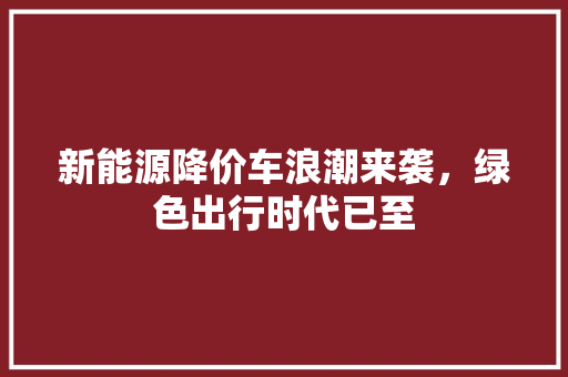 新能源降价车浪潮来袭，绿色出行时代已至