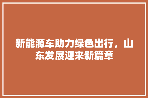 新能源车助力绿色出行，山东发展迎来新篇章