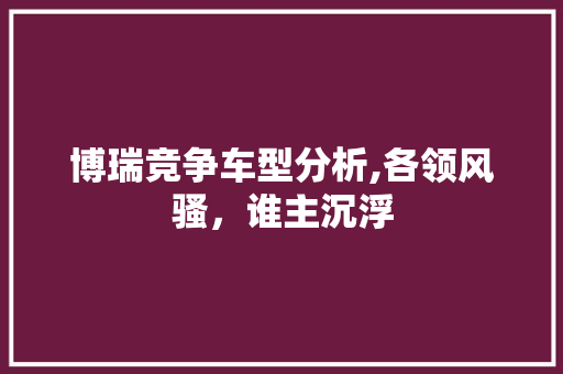 博瑞竞争车型分析,各领风骚，谁主沉浮