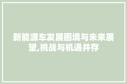 新能源车发展困境与未来展望,挑战与机遇并存