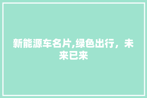 新能源车名片,绿色出行，未来已来