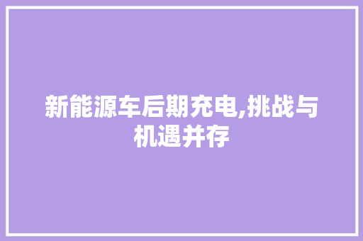 新能源车后期充电,挑战与机遇并存