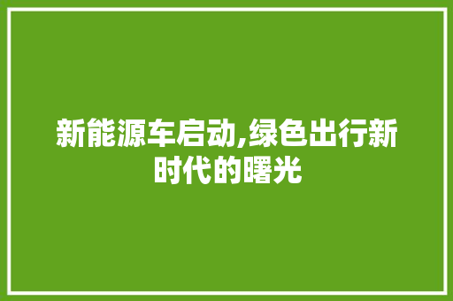 新能源车启动,绿色出行新时代的曙光