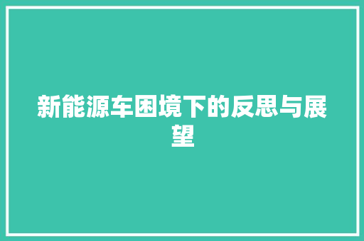 新能源车困境下的反思与展望