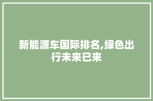 新能源车国际排名,绿色出行未来已来