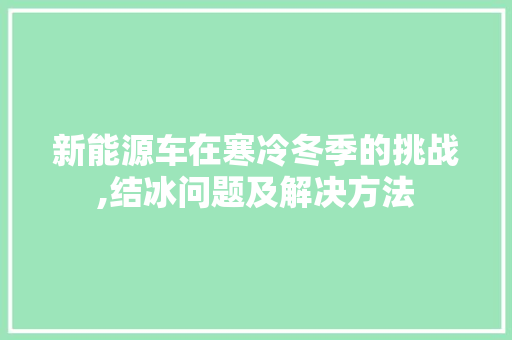 新能源车在寒冷冬季的挑战,结冰问题及解决方法
