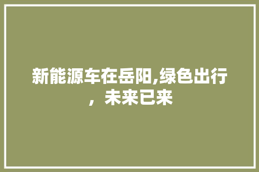 新能源车在岳阳,绿色出行，未来已来