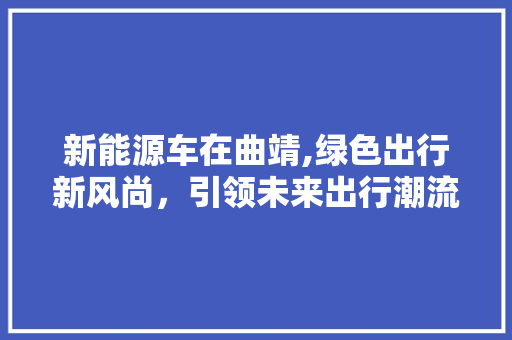 新能源车在曲靖,绿色出行新风尚，引领未来出行潮流