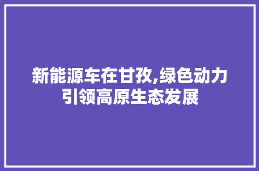 新能源车在甘孜,绿色动力引领高原生态发展