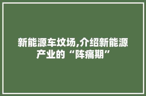 新能源车坟场,介绍新能源产业的“阵痛期”