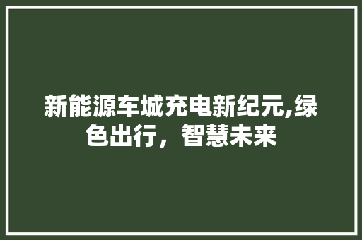 新能源车城充电新纪元,绿色出行，智慧未来