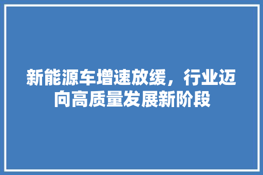 新能源车增速放缓，行业迈向高质量发展新阶段