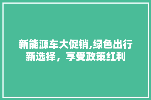 新能源车大促销,绿色出行新选择，享受政策红利