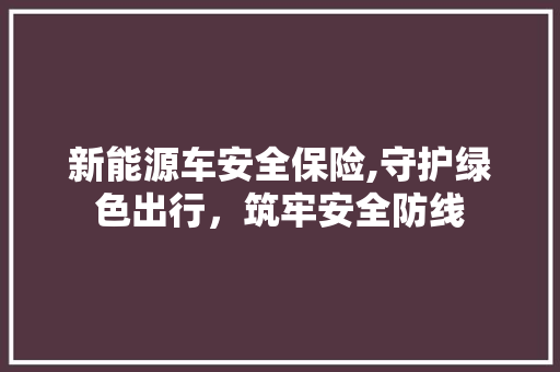 新能源车安全保险,守护绿色出行，筑牢安全防线
