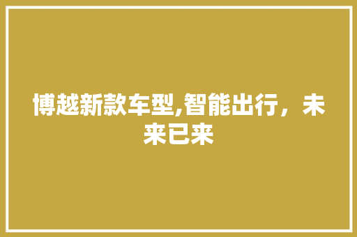 博越新款车型,智能出行，未来已来