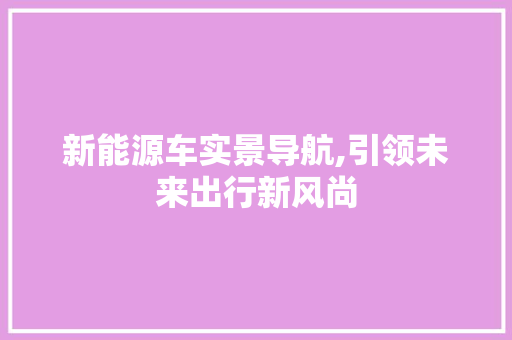 新能源车实景导航,引领未来出行新风尚