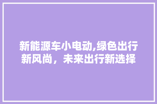 新能源车小电动,绿色出行新风尚，未来出行新选择