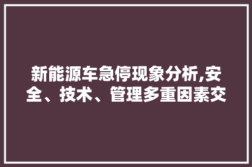 新能源车急停现象分析,安全、技术、管理多重因素交织