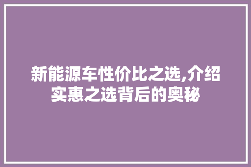 新能源车性价比之选,介绍实惠之选背后的奥秘