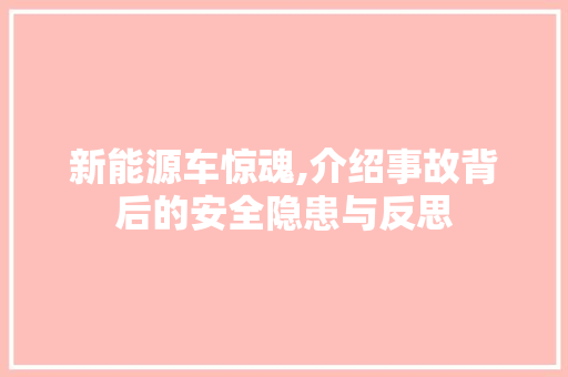 新能源车惊魂,介绍事故背后的安全隐患与反思