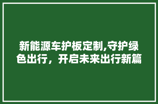 新能源车护板定制,守护绿色出行，开启未来出行新篇章