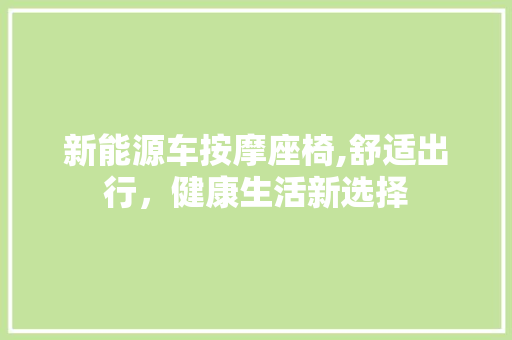 新能源车按摩座椅,舒适出行，健康生活新选择