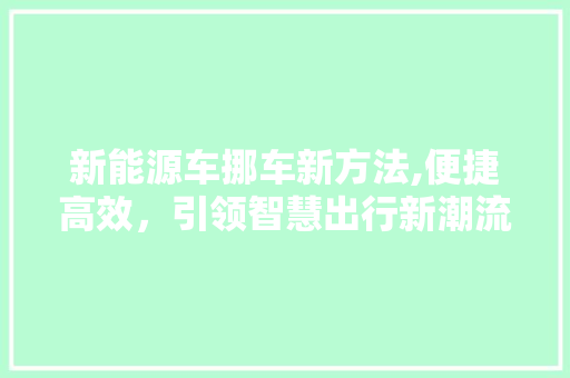 新能源车挪车新方法,便捷高效，引领智慧出行新潮流