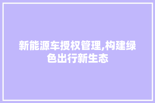 新能源车授权管理,构建绿色出行新生态