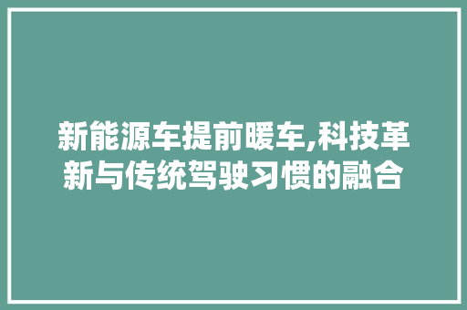 新能源车提前暖车,科技革新与传统驾驶习惯的融合