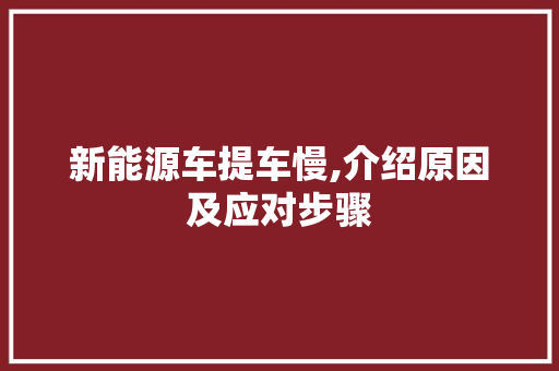 新能源车提车慢,介绍原因及应对步骤