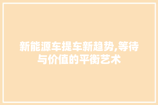 新能源车提车新趋势,等待与价值的平衡艺术