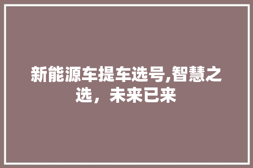 新能源车提车选号,智慧之选，未来已来