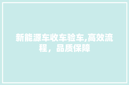 新能源车收车验车,高效流程，品质保障