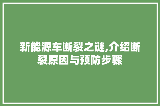 新能源车断裂之谜,介绍断裂原因与预防步骤
