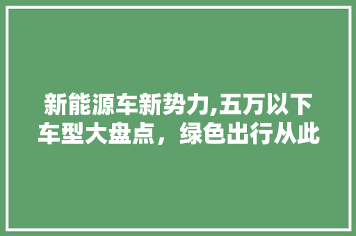 新能源车新势力,五万以下车型大盘点，绿色出行从此不再遥远