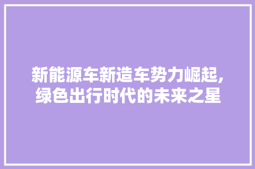 新能源车新造车势力崛起,绿色出行时代的未来之星
