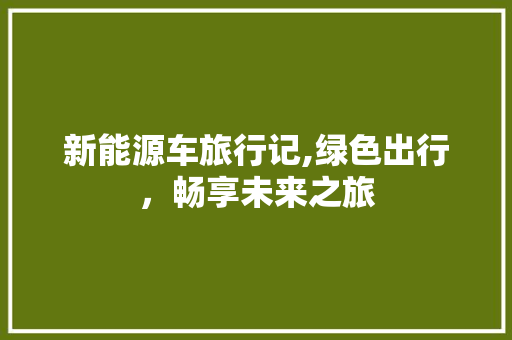 新能源车旅行记,绿色出行，畅享未来之旅