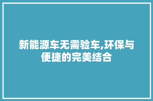 新能源车无需验车,环保与便捷的完美结合