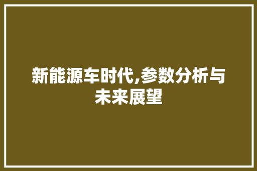 新能源车时代,参数分析与未来展望