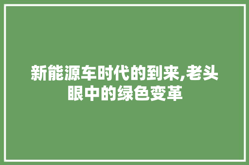 新能源车时代的到来,老头眼中的绿色变革