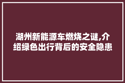湖州新能源车燃烧之谜,介绍绿色出行背后的安全隐患