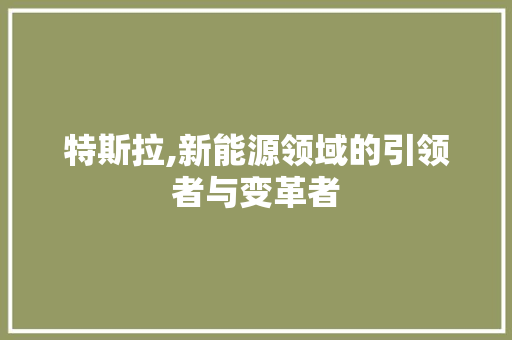 特斯拉,新能源领域的引领者与变革者