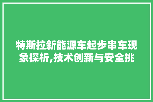 特斯拉新能源车起步串车现象探析,技术创新与安全挑战并存