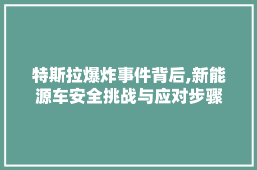特斯拉爆炸事件背后,新能源车安全挑战与应对步骤