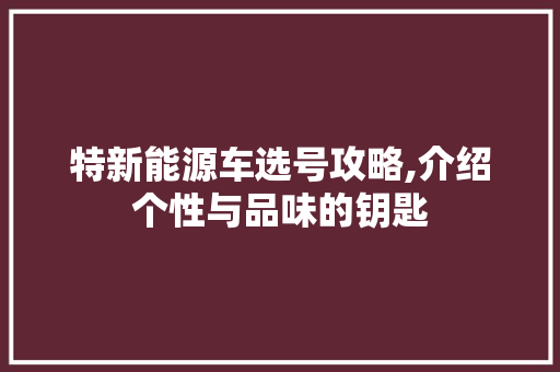 特新能源车选号攻略,介绍个性与品味的钥匙