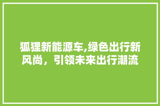狐狸新能源车,绿色出行新风尚，引领未来出行潮流
